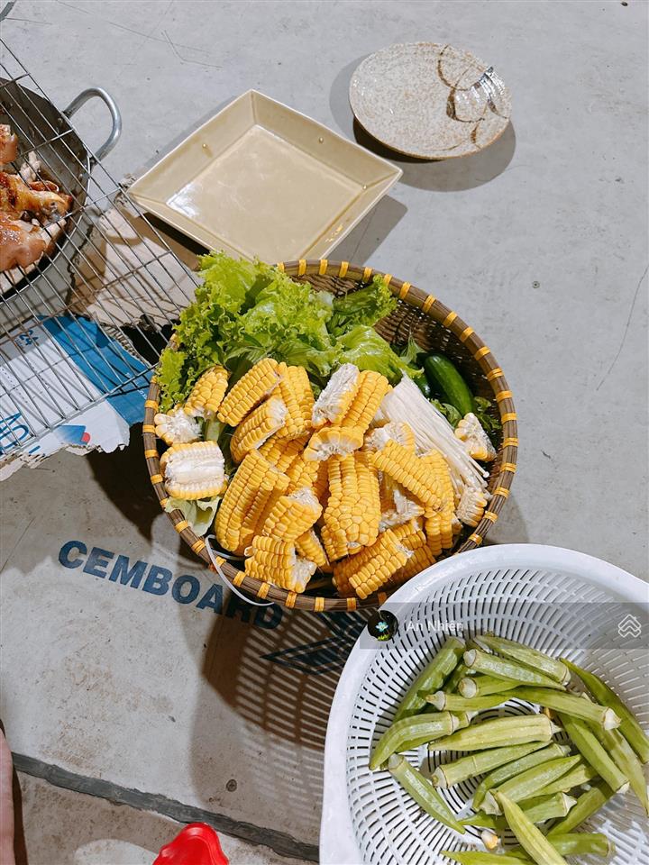 Chủ gồng hết nổi  xả 1 so vườn xoài ven sông la ngà đồng nai  950 triệu