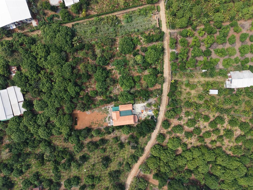 1.081m2 đất view hồ trị an, ôm 62m suối, chỉ 900 triệu