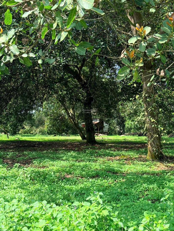 1.081m2 đất view hồ trị an, ôm 62m suối, chỉ 900 triệu