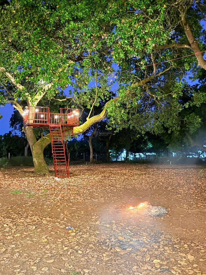 1.081m2 đất view hồ trị an, ôm 62m suối, chỉ 900 triệu