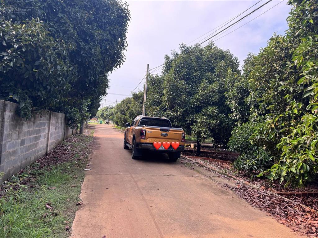 Đất ngộp chủ kẹt tiền bán gấp lô đất full thổ cư gần nút giao dầu giây