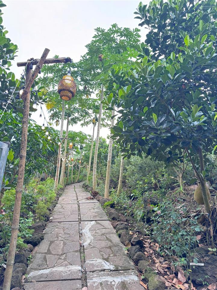 Lô đất làm nhà vườn hoặc camping rất phù hợp