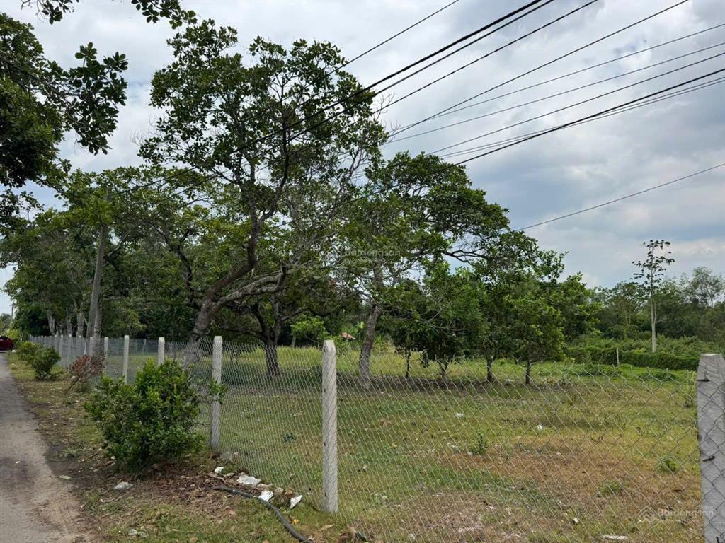 Chính chủ bán đất thổ cư nhà vườn  view trực diện núi chứa chan