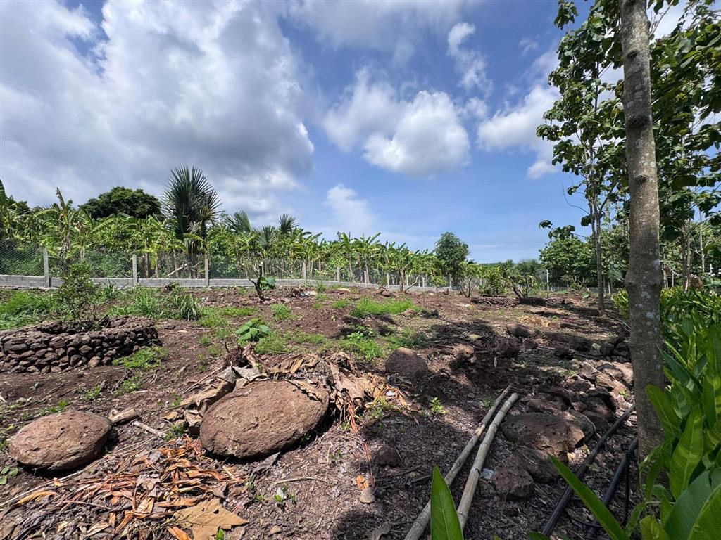 Cần bán lô đất khu nhà vườn ngắm view sông la ngà