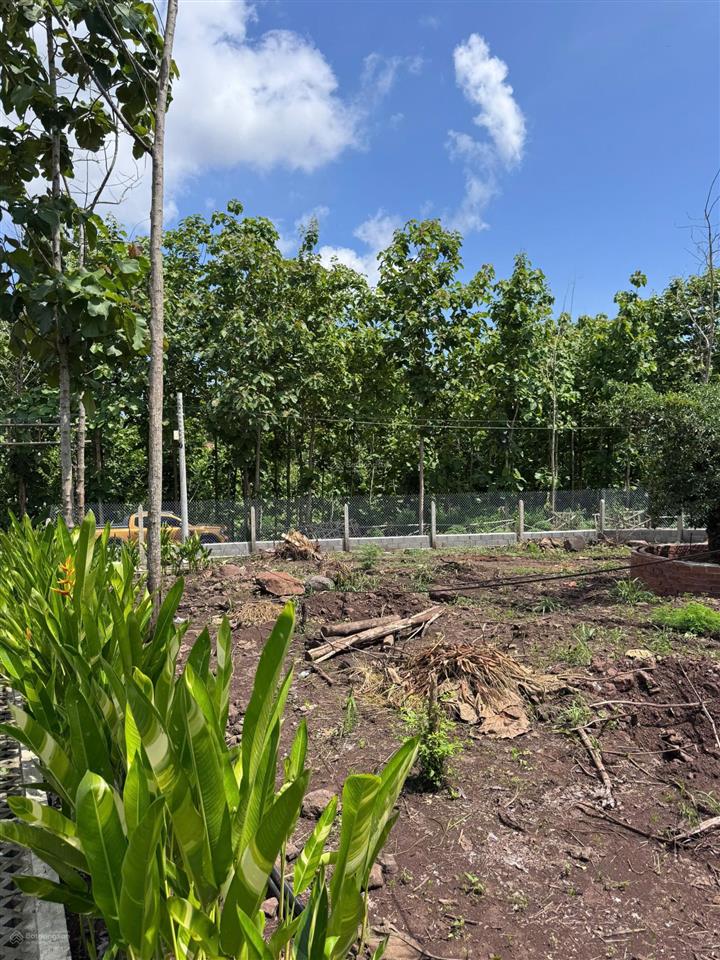 Cần bán lô đất khu nhà vườn ngắm view sông la ngà