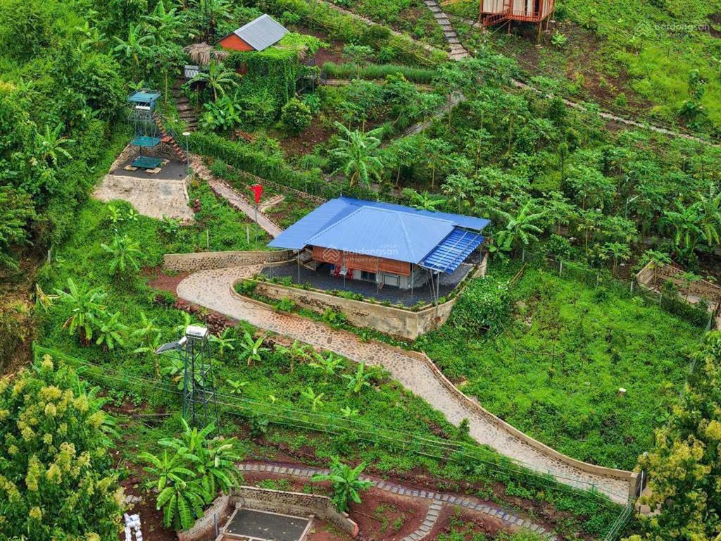 Hiếm có khó tìm lô đất vườn đồi chỉ có 1 lô chỉ cách quốc lộ 2km