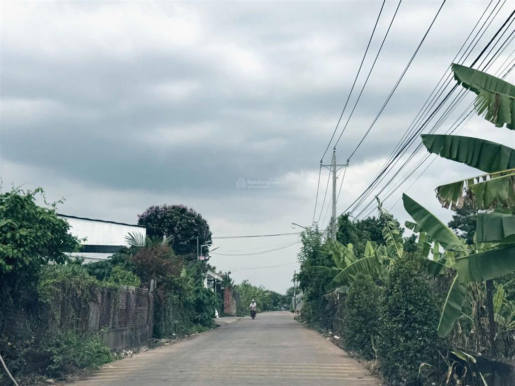 Cơ hội sở hữu đất nền tại trung tâm gia kiệm, dân cư văn minh