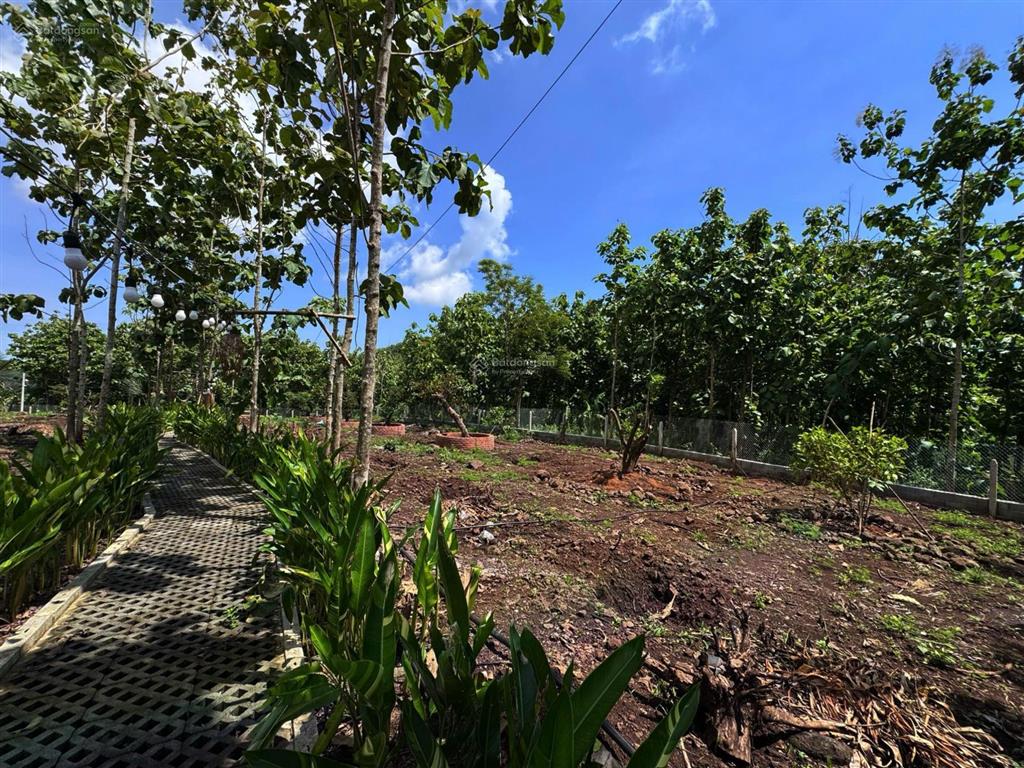 Đất vườn ngắm view sông la ngà đất bằng phẳng hợp để đầu tư xây khu nghỉ dưỡng