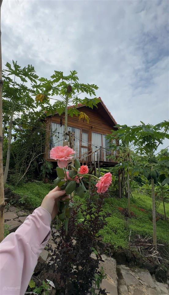 Đất vườn định quán view sông la ngà chủ ngộp bán gấp