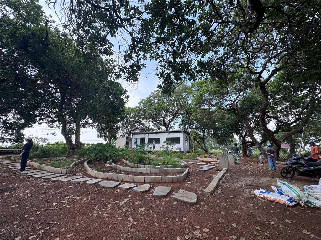 Tìm hàng xóm cho lô đất vườn điều làm farmstay, khu nghỉ dưỡng view hồ trị an, ôm suối 62m