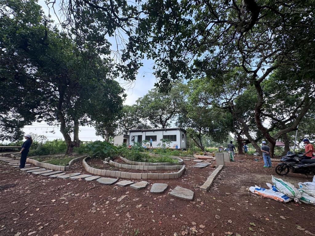 Vườn điều 1081m2 ngắm view hồ trị an, đất giáp 62m suối chủ giảm 200 triệu
