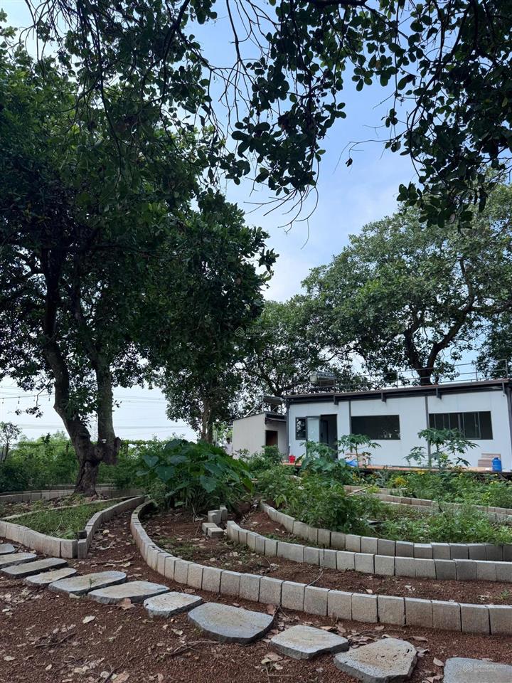 Vườn điều 1081m2 ngắm view hồ trị an, đất giáp 62m suối chủ giảm 200 triệu