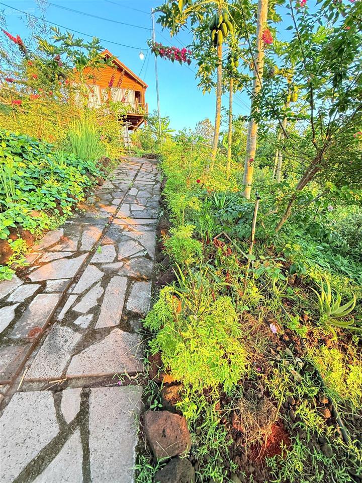 Chủ ngộp cần bán lô đất khu nhà vườn cách quốc lộ 20km view sông là ngà bao đẹp