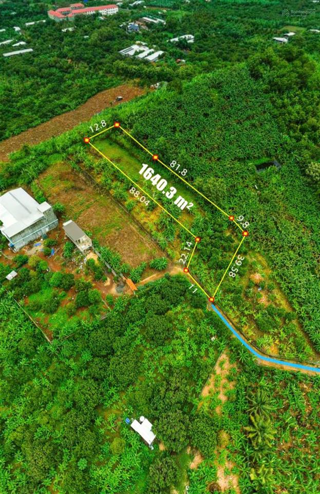 Chính chủ bán gấp đất vườn gia kiệm ngắm đức mẹ núi cúi, đất đẹp cao ráo đêm ngắm đường xá gia kiệm