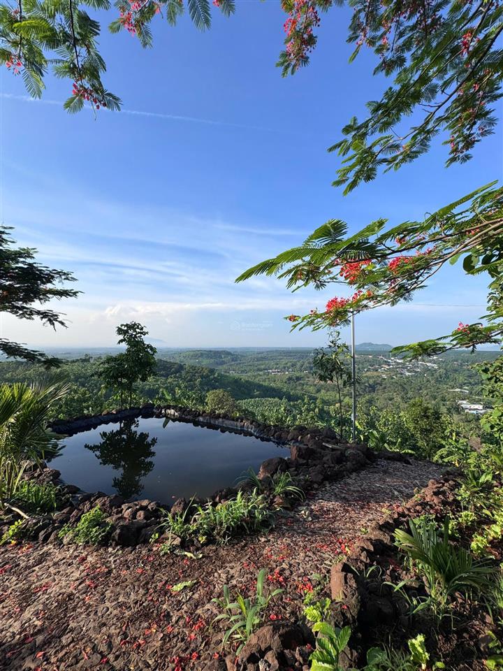 Chính chủ bán đất vườn view sông la ngà khí hậu mát mẻ quanh năm cách quốc lộ 2km ôtô vào tân đất