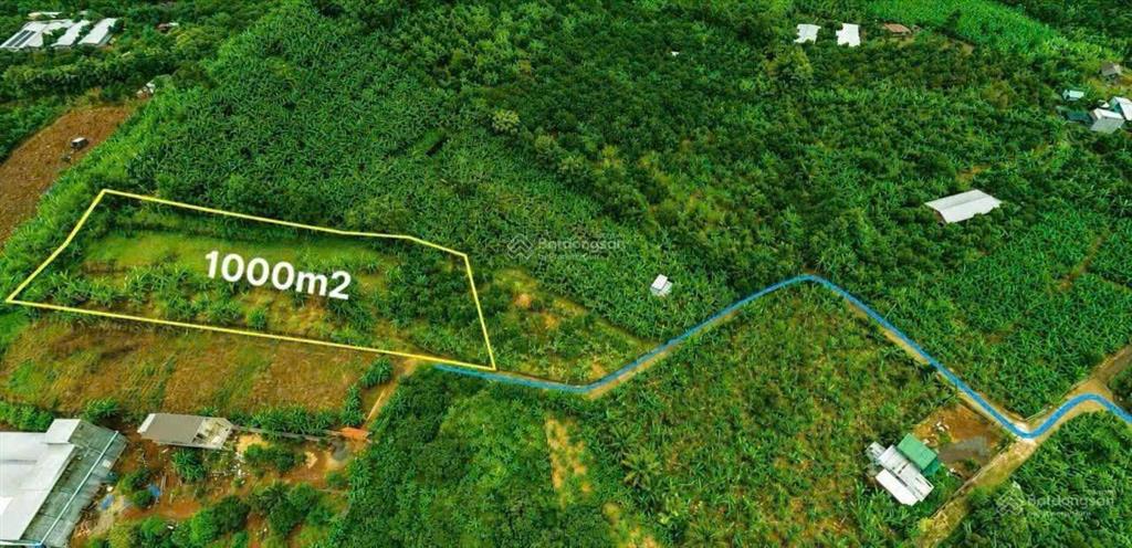 Chủ ngộp cần bán gấp lô đất trung tâm gia kiệm view thoáng ngắm đức mẹ núi cúi