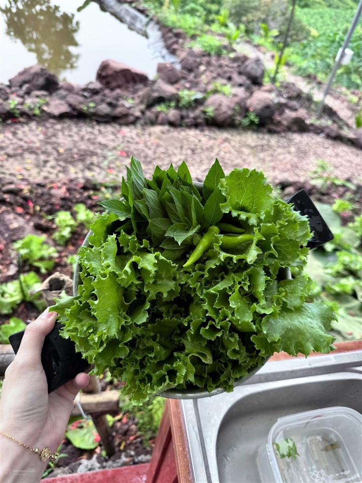 Đất vườn ngắm view sông la ngà khí hậu mát mẻ quanh năm phù hợp làm nhà vườn nghỉ dưỡng
