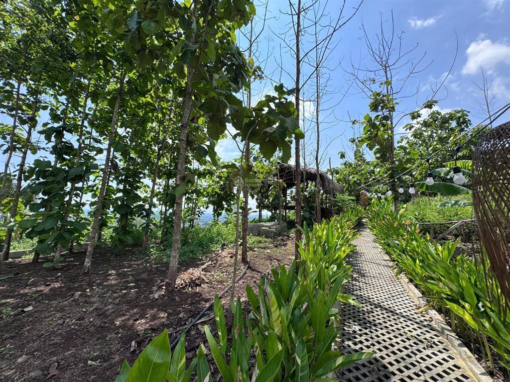 Đất vườn ngắm view sông la ngà khí hậu mát mẻ quanh năm phù hợp làm nhà vườn nghỉ dưỡng