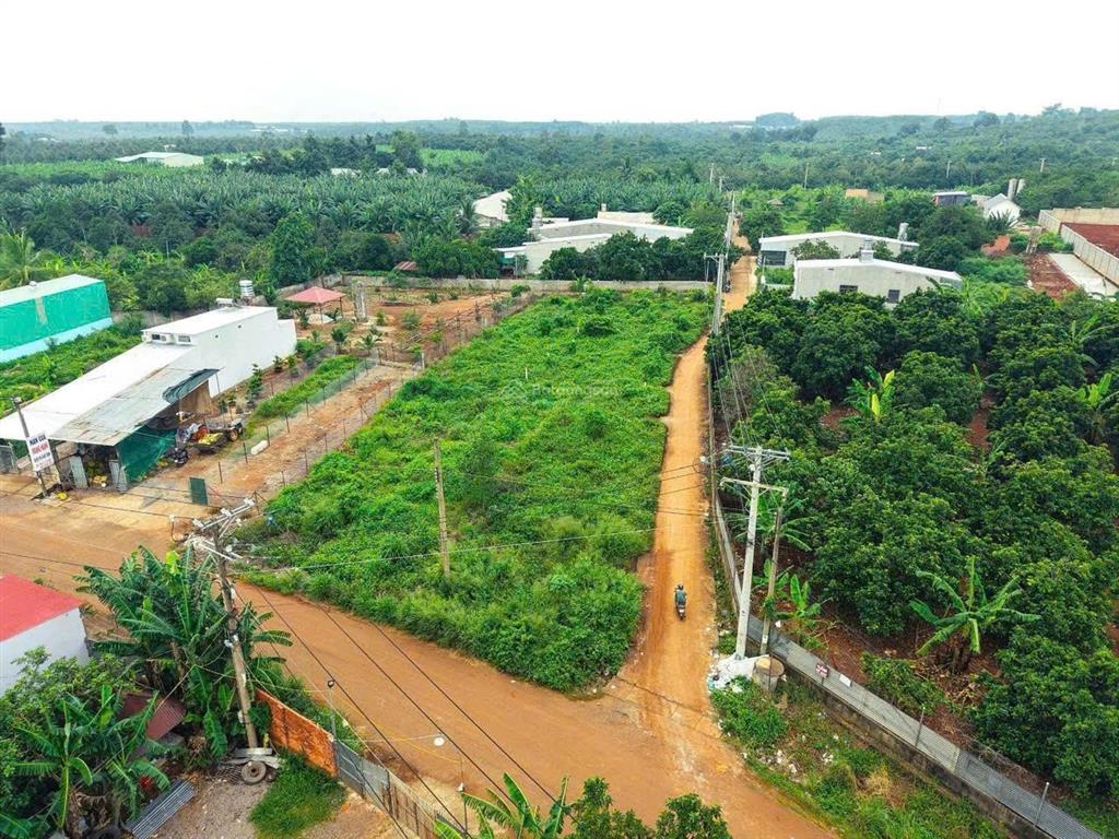 Đất ngay thị trấn sầm uất, cạnh trường học, chủ cần tiền bán gấp