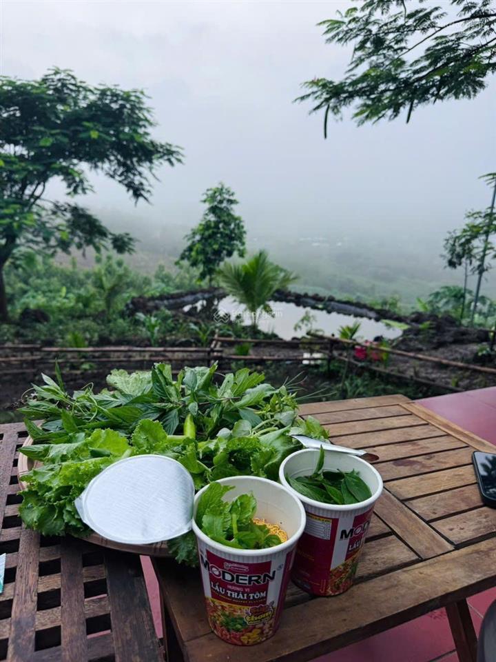 950 triệu sở hữu 1.009m2 đất vườn view thoáng đẹp tại la ngà