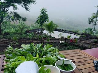 950 triệu sở hữu 1.009m2 đất vườn view thoáng đẹp tại la ngà