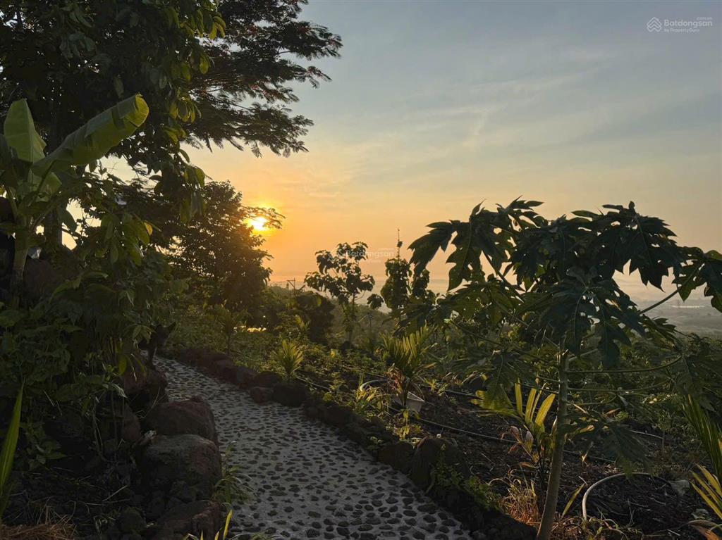 Đất vườn giá rẻ có view đồi xanh mát  tại la ngà  đồng nai