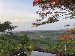Đất vườn giá rẻ có view đồi xanh mát  tại la ngà  đồng nai