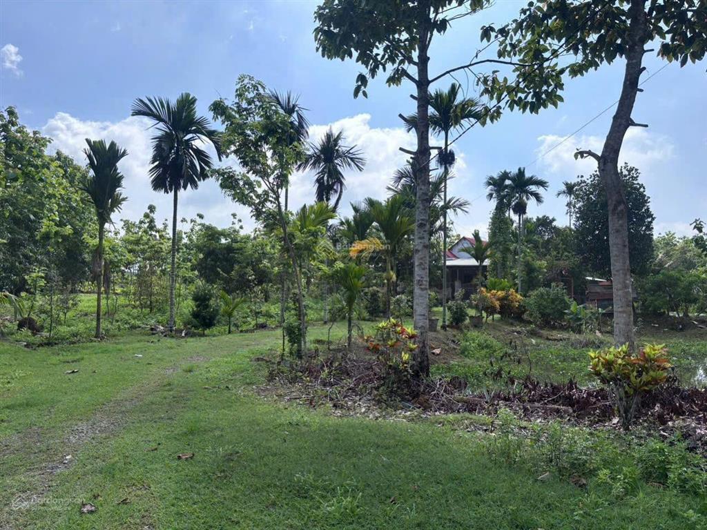 Đất vườn sẵn nhà + view hồ trị an  đồng nai