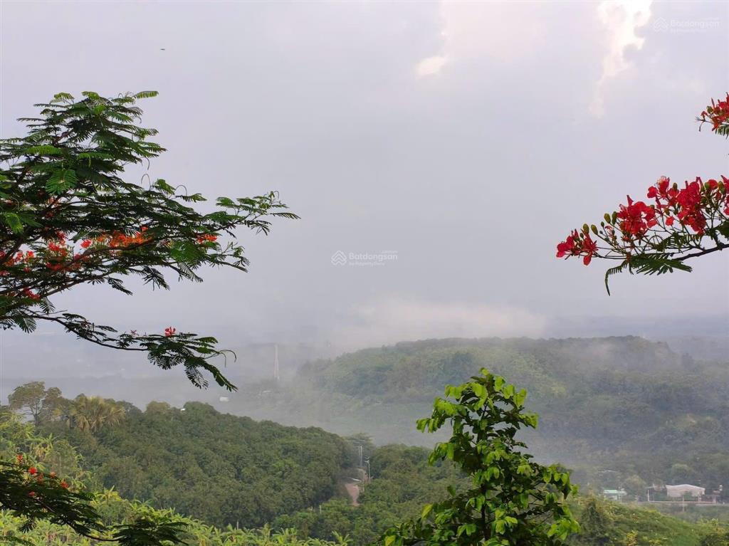 Còn 1 sổ đất vườn giá rẻ  view cỡ đà lạt tại đồng nai