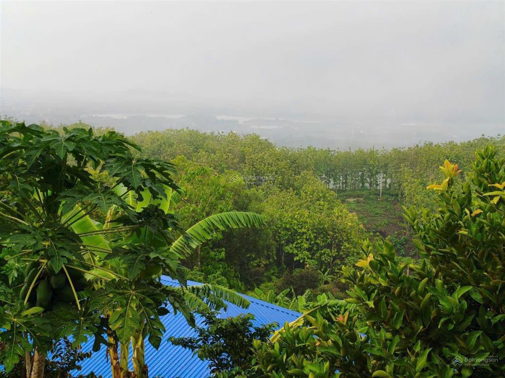 Còn 1 sổ đất vườn giá rẻ  view cỡ đà lạt tại đồng nai