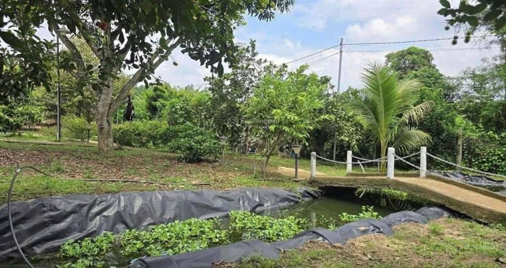Chỉ 5** triệu  sở hữu hơn 1.000m2 đất gần hồ trị an