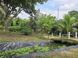 Chỉ 5** triệu  sở hữu hơn 1.000m2 đất gần hồ trị an