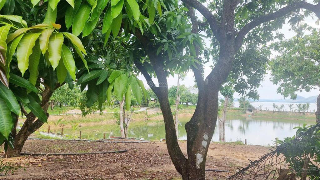 Chỉ 5** triệu  sở hữu hơn 1.000m2 đất gần hồ trị an