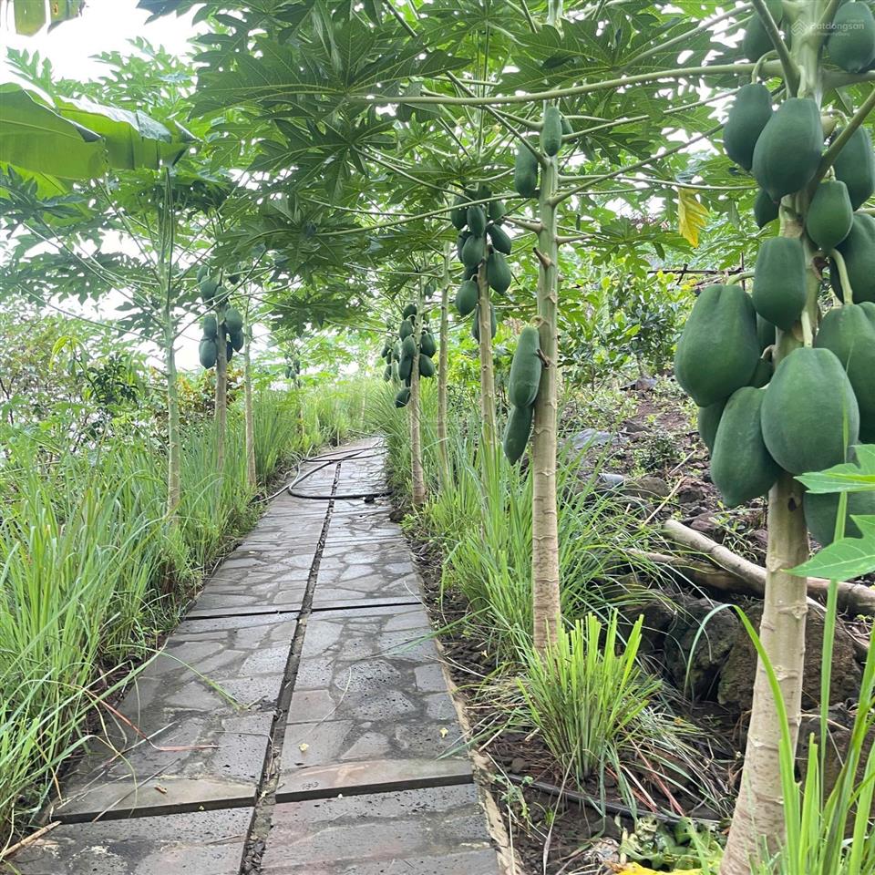 Cần bán lô đất khu nhà vườn ngắm view sông la ngà