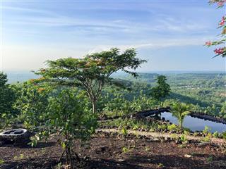 Cần bán lô đất khu nhà vườn ngắm view sông la ngà