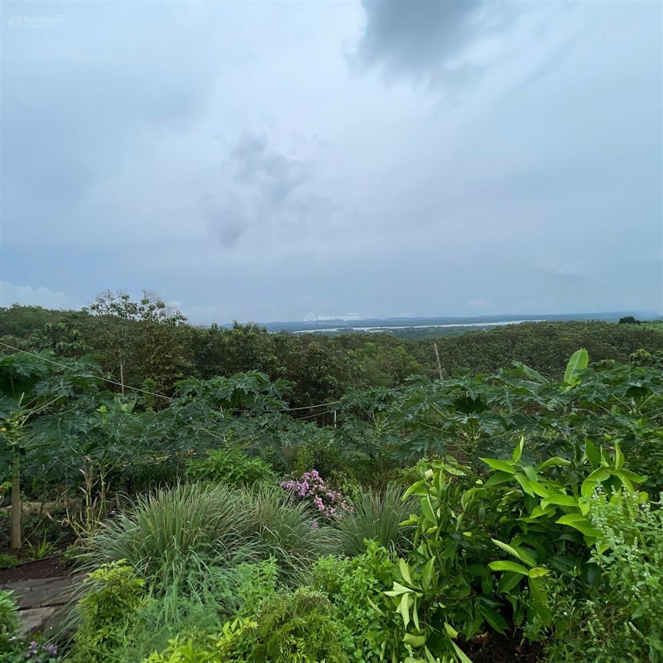 Cần bán lô đất khu nhà vườn ngắm view sông la ngà