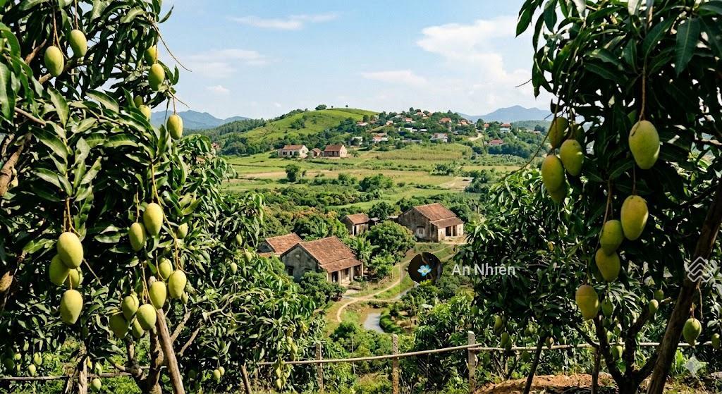 Vườn xoài la ngà 1200m2 sát ql20, đường bê tông, thích hợp nghỉ dưỡng, 950tr/sào