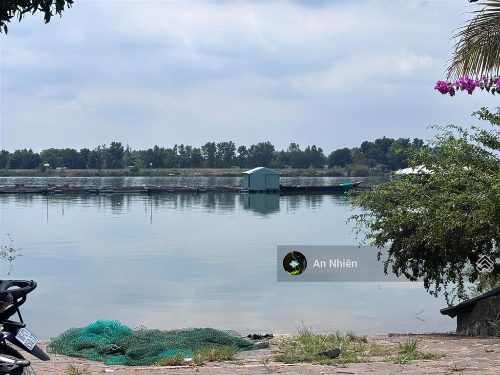 Vườn xoài la ngà 1200m2 sát ql20, đường bê tông, thích hợp nghỉ dưỡng, 950tr/sào