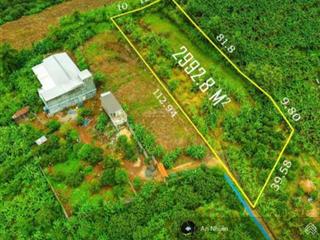 Sở hữu gần 3.000m2 đất vườn gia kiệm view đức mẹ núi cúi cách đường sông nhạn dầu giây chỉ 50m