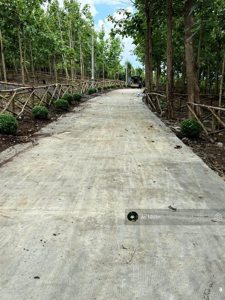 125m2 đất dầu giây giá chỉ khoảng 620 triệu/100m2, đường bê tông 7m