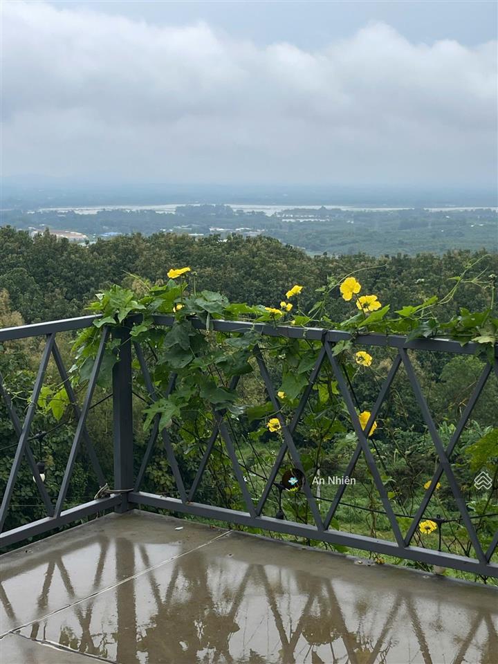 160m² đất thổ cư, đường nhựa rộng, gần trường 100m, gần song hành, cách dầu giây 10km