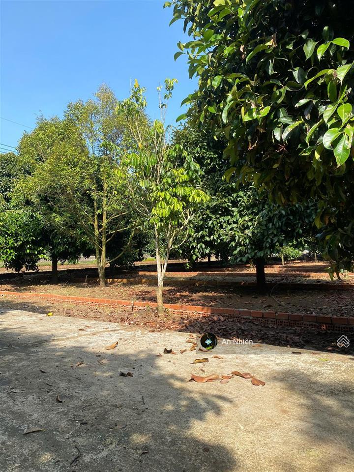 Đất thổ cư 125m2 tại dầu giây, sổ riêng xây nhà ngay, dân cư đông, giá chỉ 775 triệu