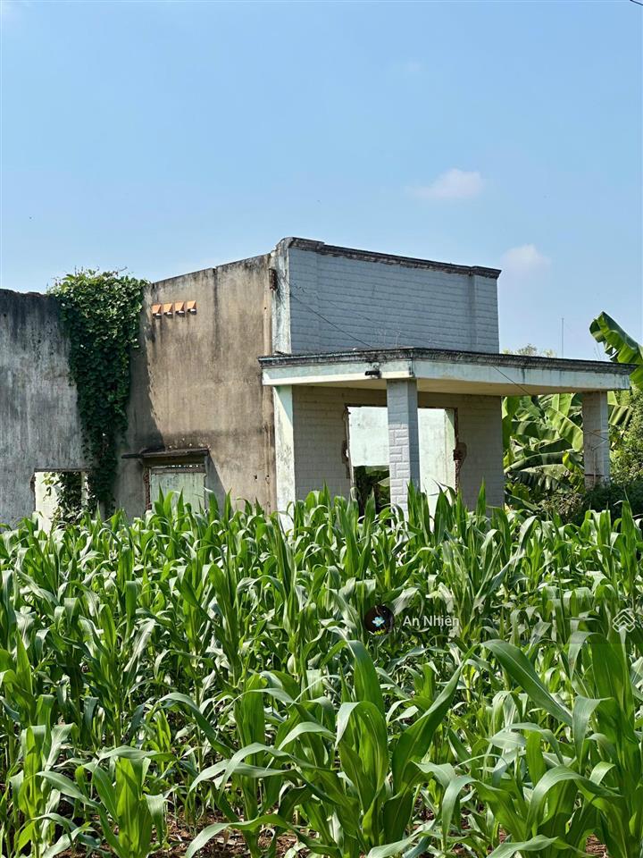 Đất thổ cư 125m2 tại dầu giây, sổ riêng xây nhà ngay, dân cư đông, giá chỉ 775 triệu