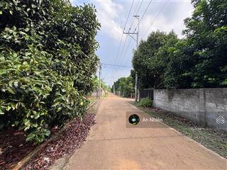 125m² đất dầu giây giá chỉ 620 triệu/100m², đường bê tông 7m rộng rãi, cơ hội đầu tư hấp dẫn!
