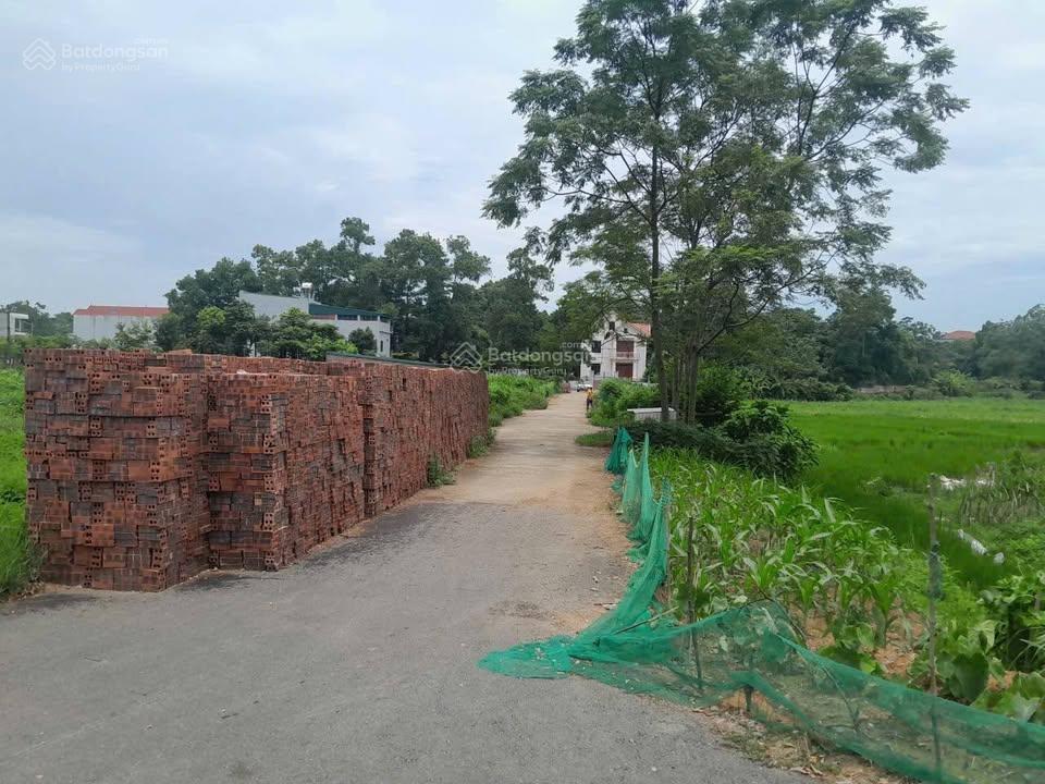 Mảnh đất 120m2 (mt 6m) đường 12m vỉa hè, băng 4 khu dân cư đồng mông xung, thanh đình, việt trì