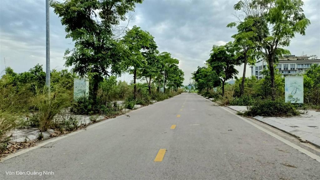 Cắt lỗ sâu vài trăm triệu cơ hội "bắt đáy" lô đất vị trí đẹp