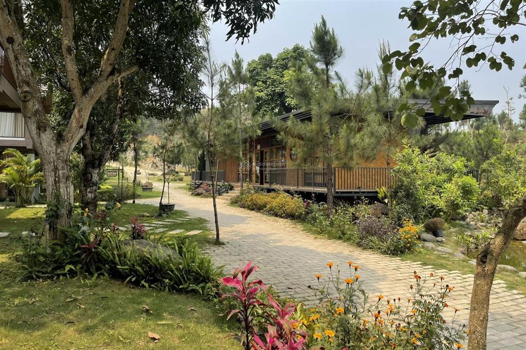 Bán căn biệt thự nghỉ dưỡng thang mây village bản xôi ba vì 7,6 tỷ sổ đỏ full thổ cư, full nội thất