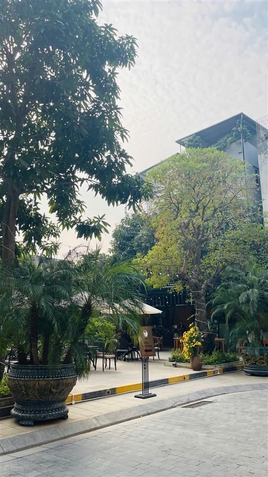 Chính chủ cần bán căn hộ 77m2 ban công đông nam.  0987 975 ***