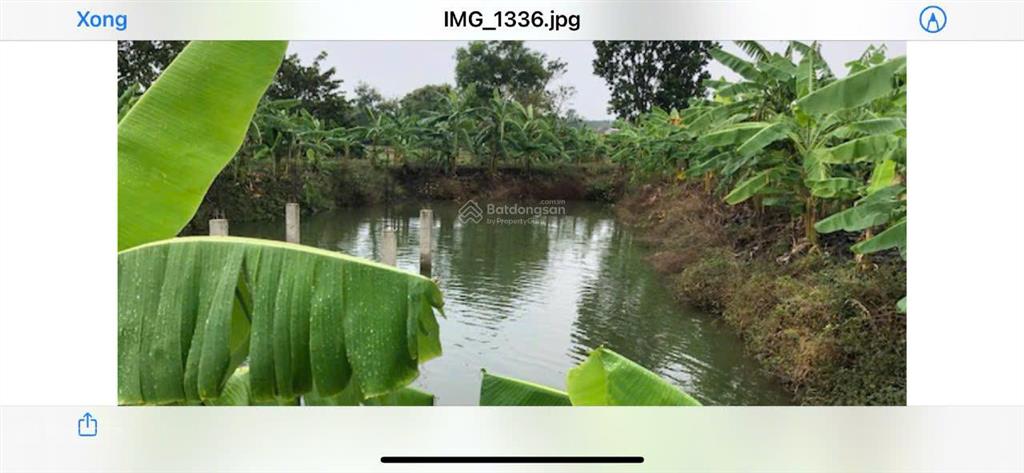 Cần bán khu nghỉ dưỡng tại xã đá bạc  huyện châu đức (cũ)