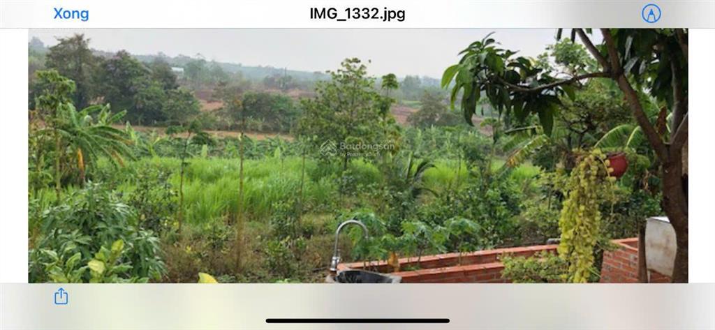 Cần bán khu nghỉ dưỡng tại xã đá bạc  huyện châu đức (cũ)